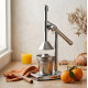 Fruit Juicer